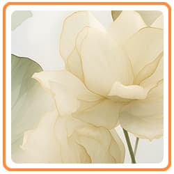 Florais e Folhagens