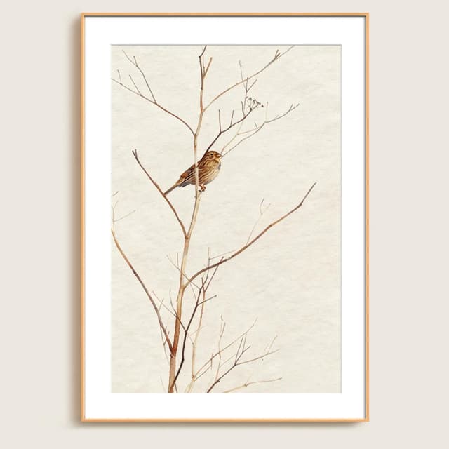 Quadro Decorativo - Pardal em Aquarela